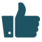 icons8-facebook-like-filled-100